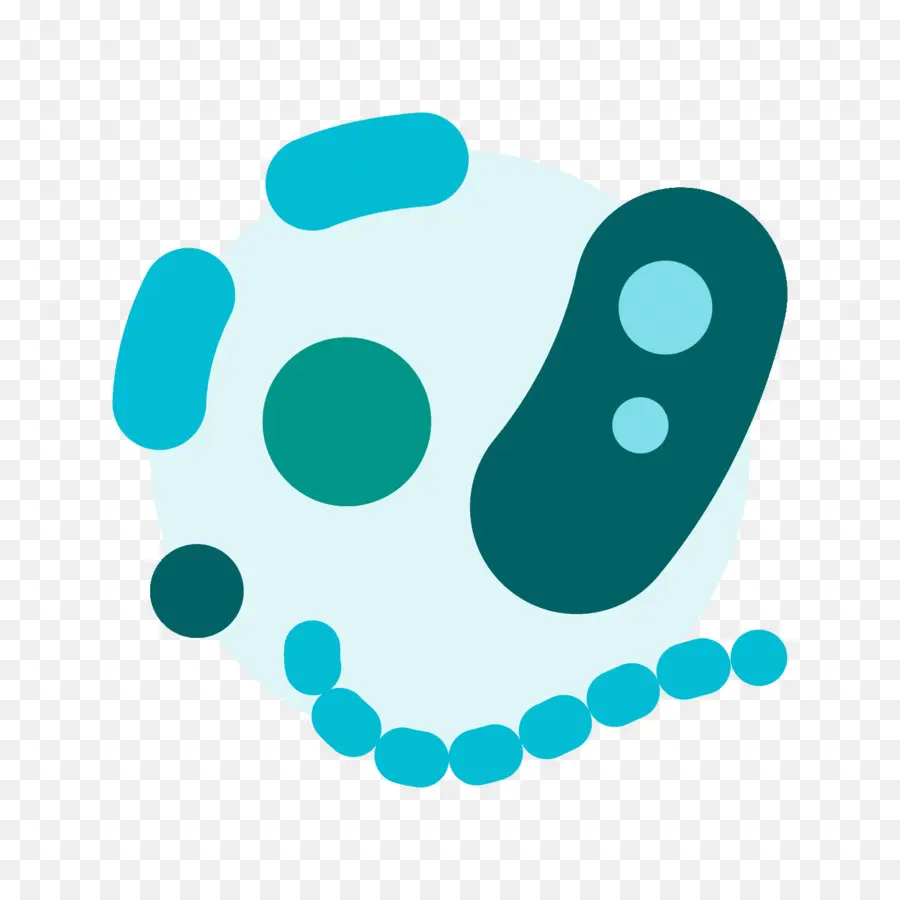 O Micro Organismo，ícones Do Computador PNG