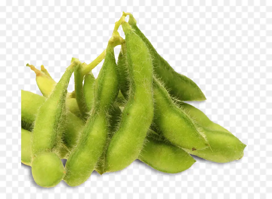 Edamame，Soja PNG