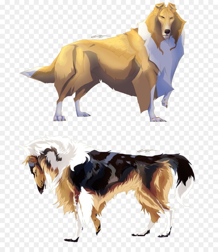 Cão，Canidae PNG