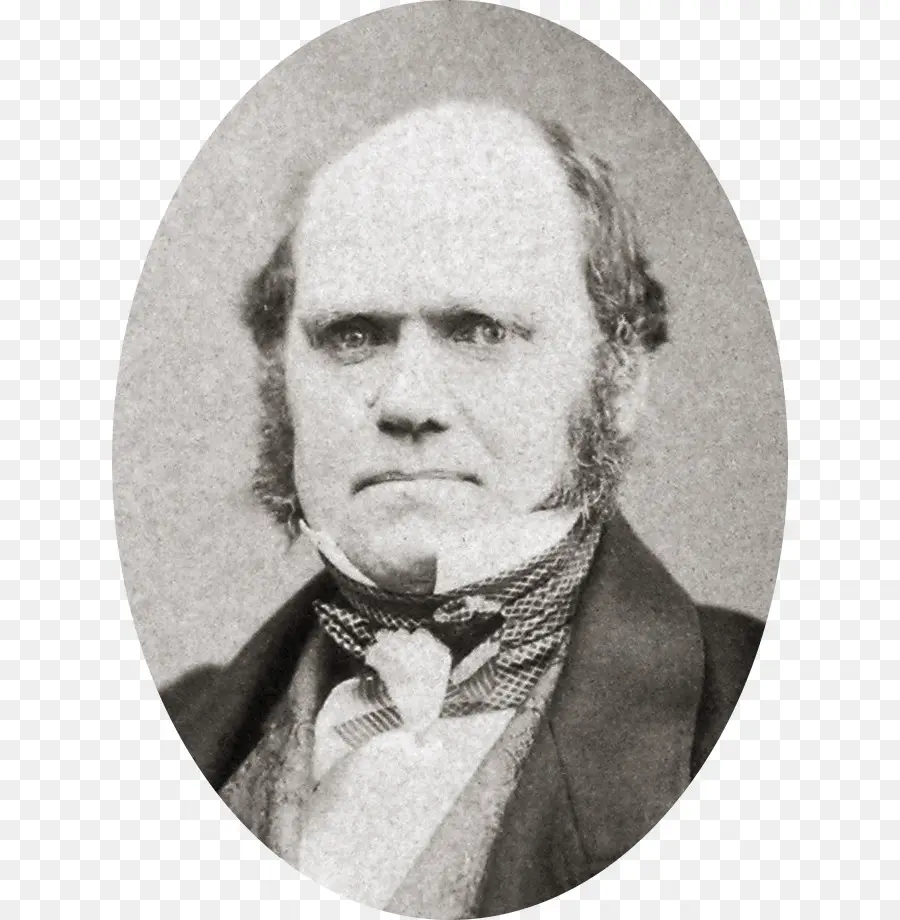 Charles Darwin，A Origem Das Espécies PNG