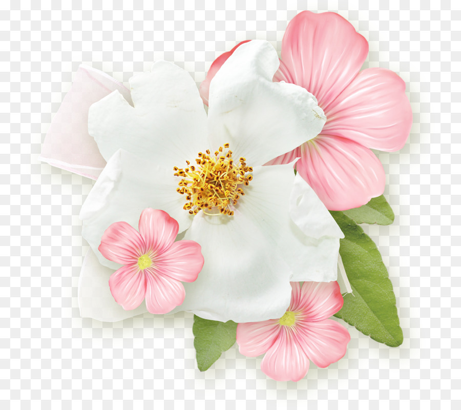 Flores，Florescer PNG