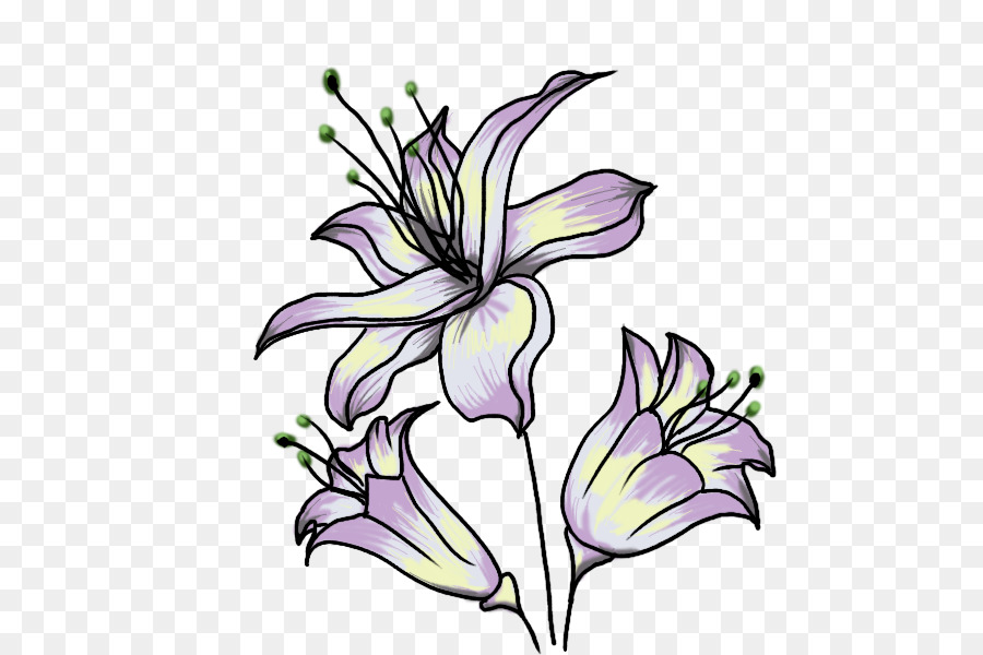 Flor，Desenho PNG