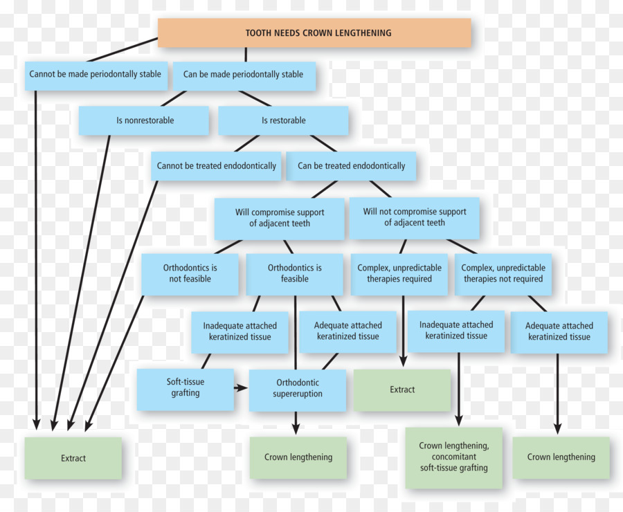 Fluxograma，Processo PNG