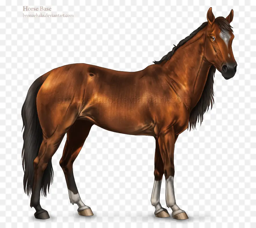 Cavalo Cinzento，Garanhão PNG