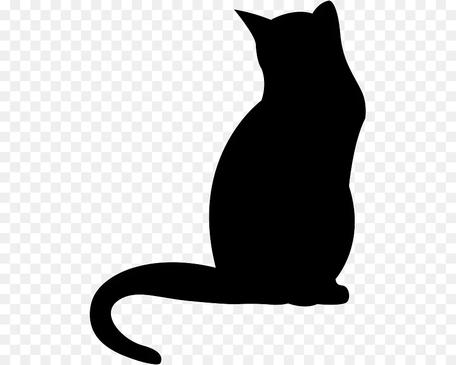 Gato Preto，Gato PNG