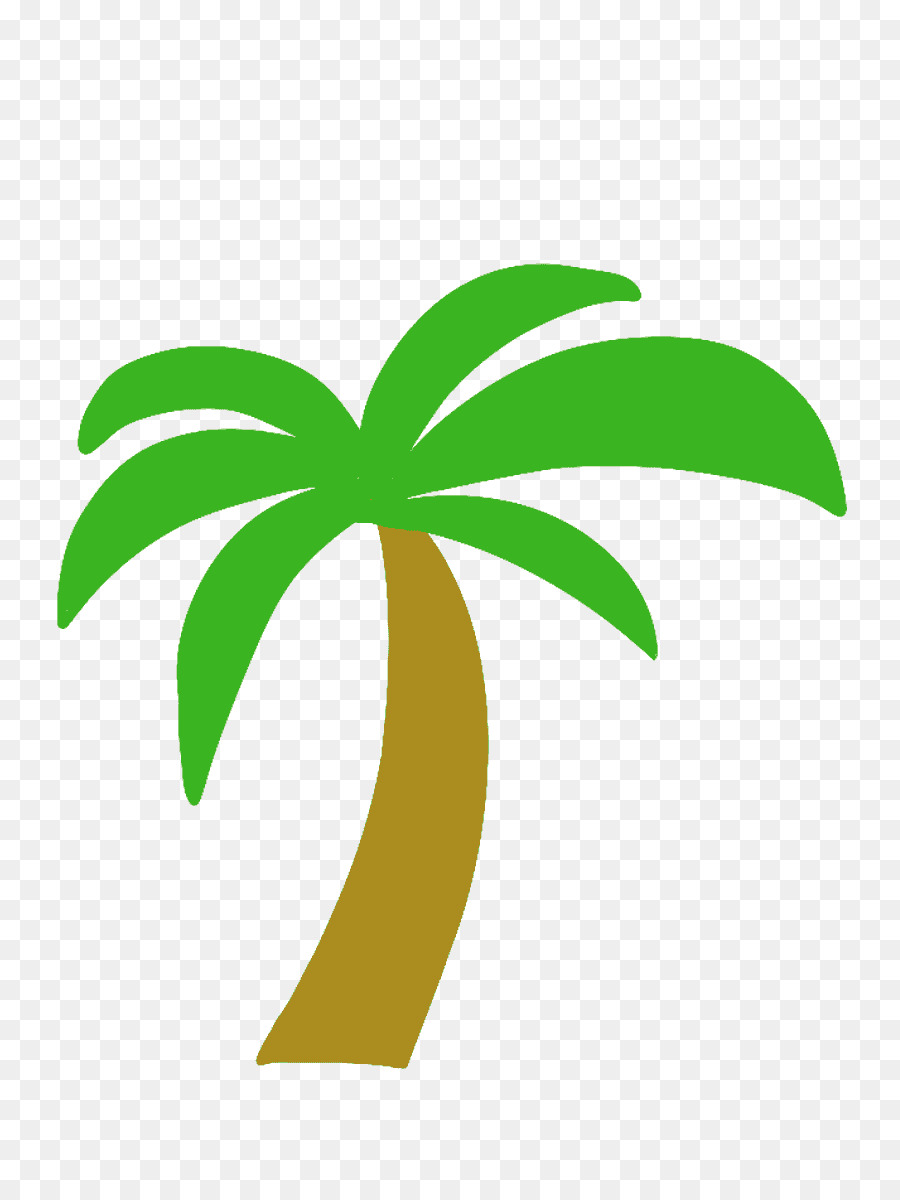 Arecaceae，Illustrator PNG