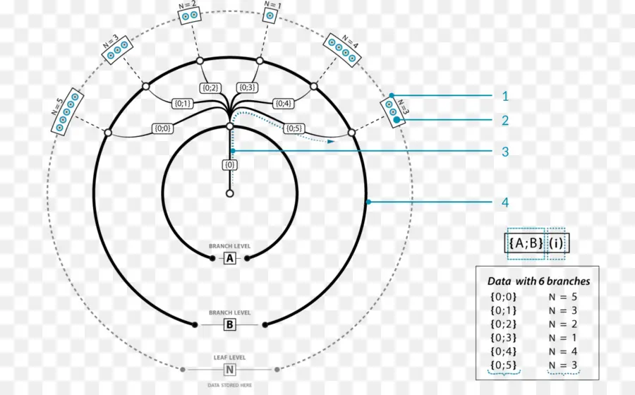 Diagrama Radial，Galhos PNG