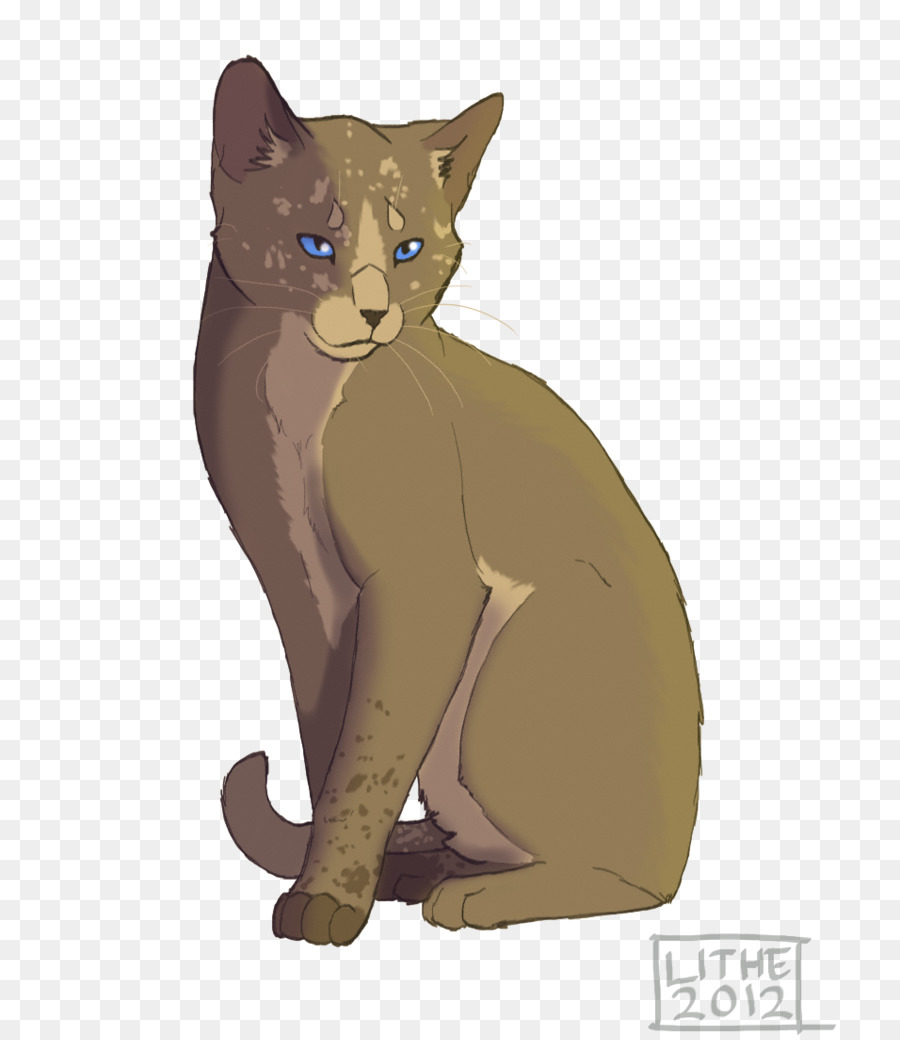 Havana Brown，Animais PNG