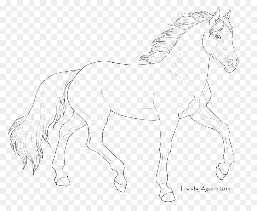 Cavalo，Arte Linear PNG