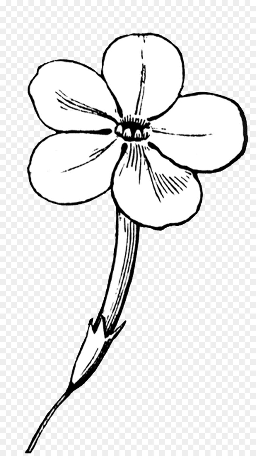 Flor，Arte De Linha PNG