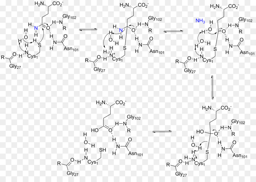 Diagrama Químico，Química PNG