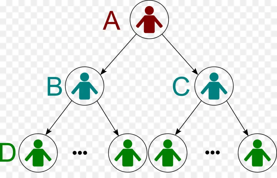 Diagrama De Hierarquia，Estrutura PNG