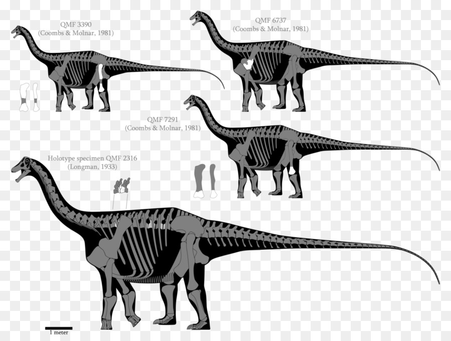 Austrosaurus，Dinossauro PNG