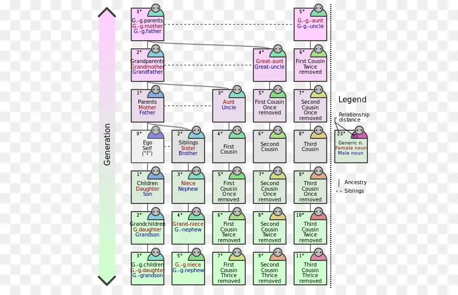 Árvore Genealógica，Genealogia PNG