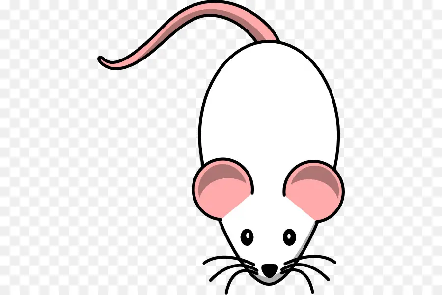 Mouse De Computador，Mouse PNG