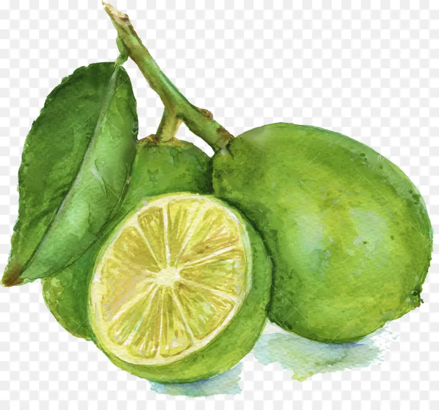 Limas Verdes，Cítrico PNG