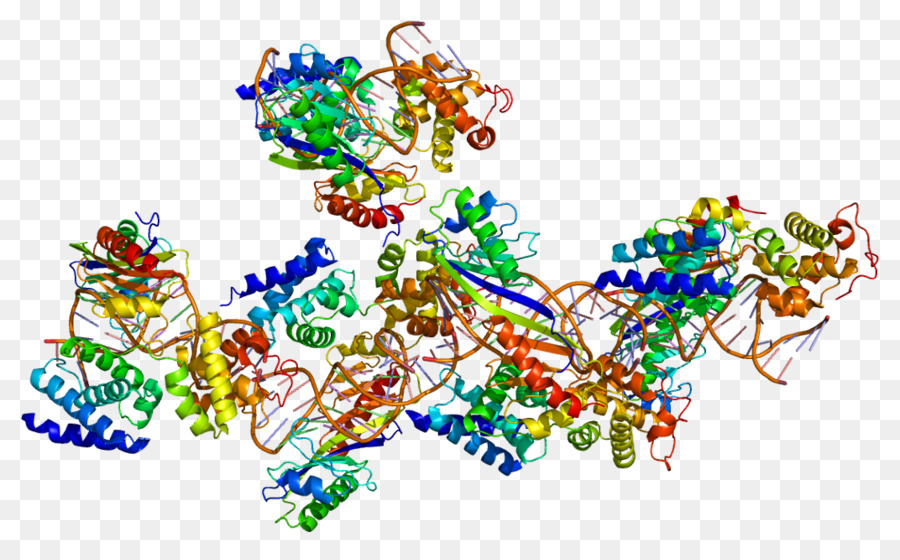 Tatabinding Proteína，Fator De Transcrição Ii B PNG