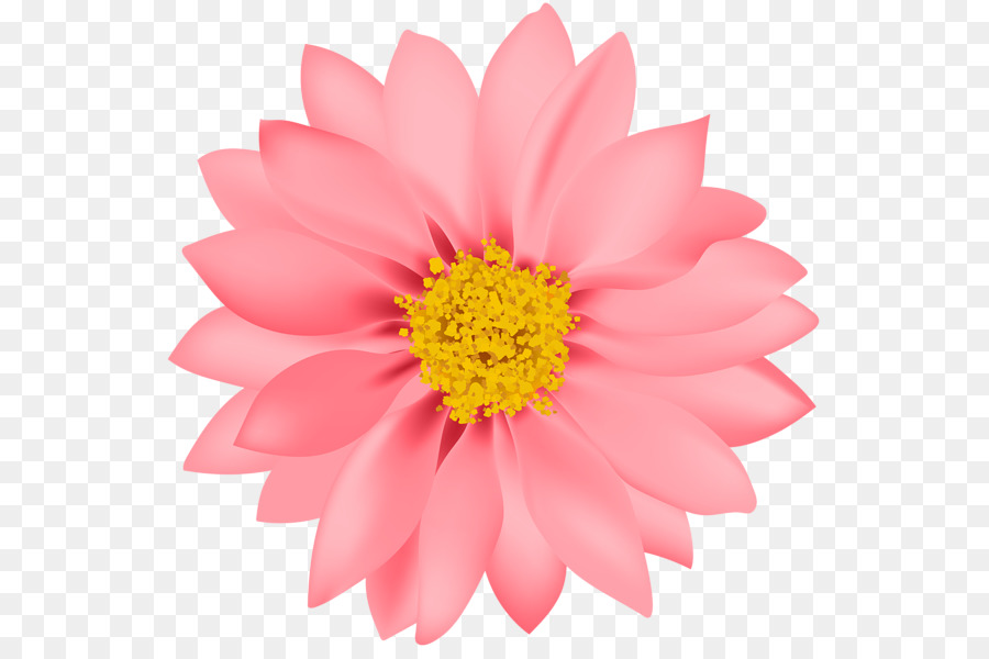 Flor，Rosa PNG