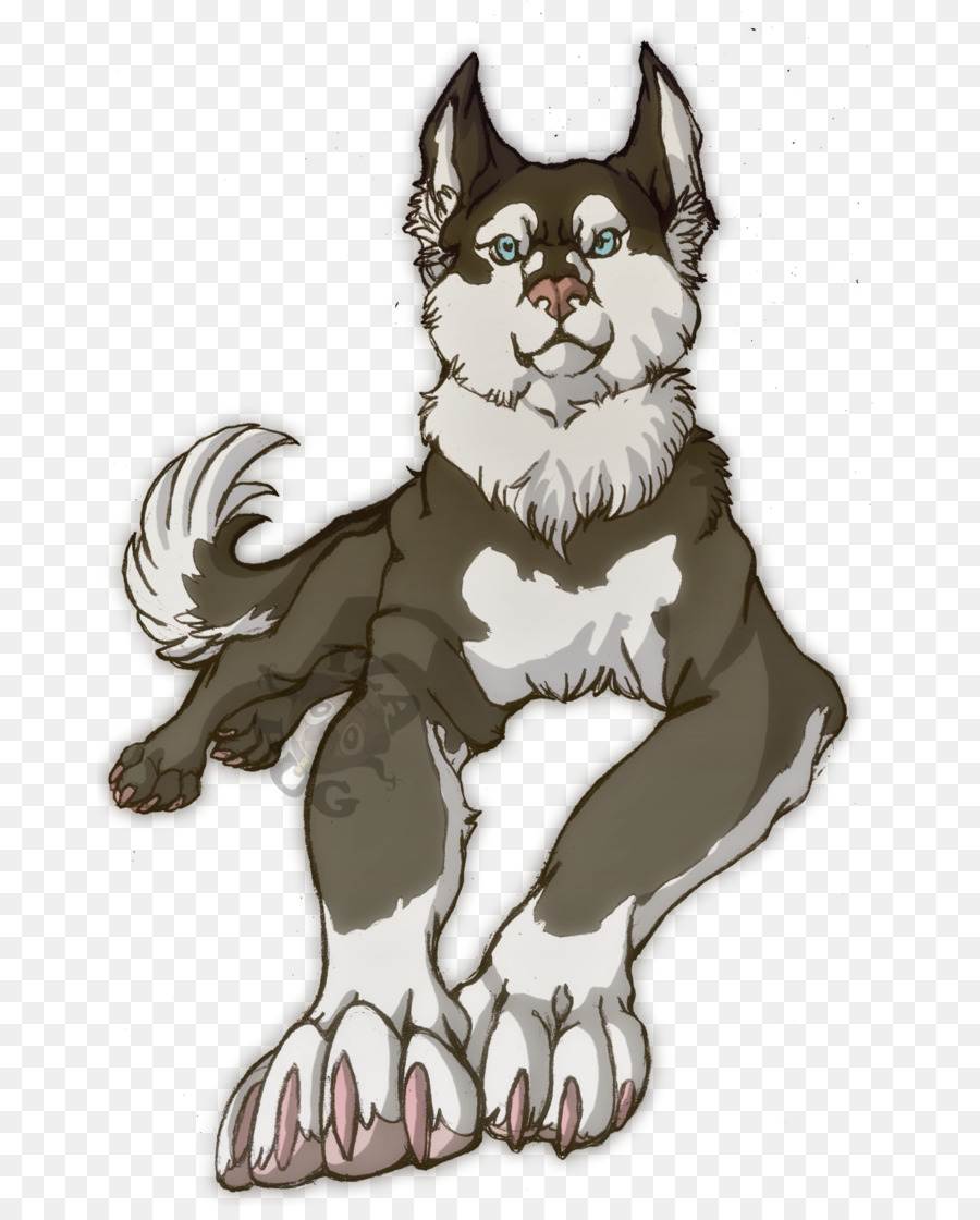 Husky Siberiano，Gato PNG