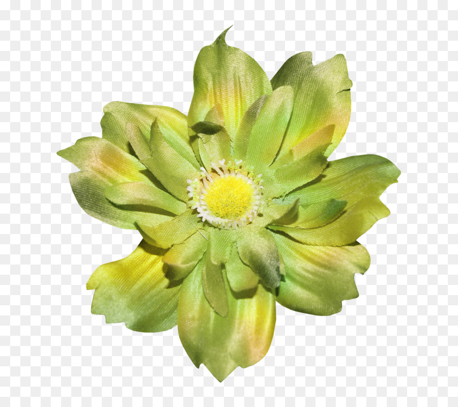 Flor，Verde PNG