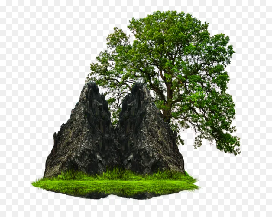 Árvore E Pedra，Verde PNG