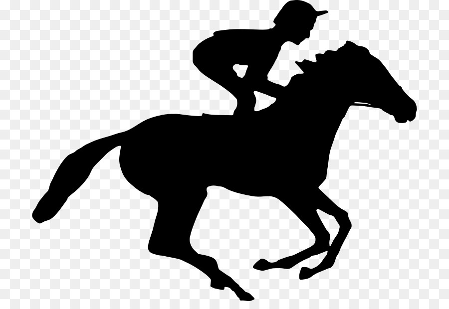 Cavalo, Saltar, Equestre png transparente grátis