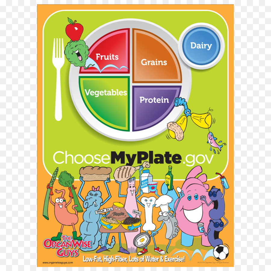 Myplate，Nutrição PNG