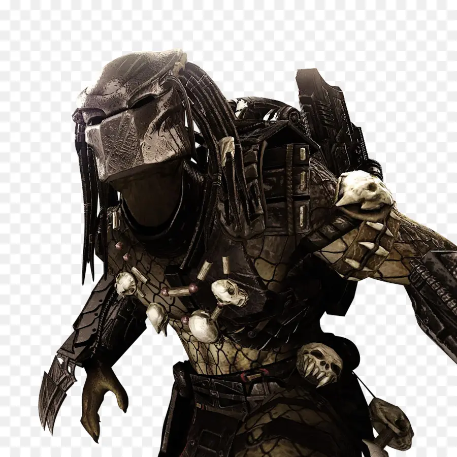 Predador，Aliens Vs Predator PNG