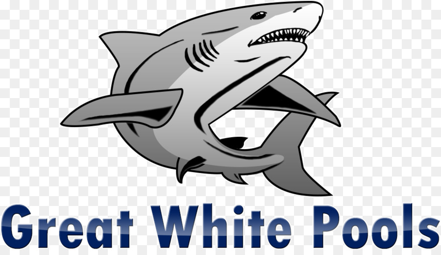 Tubarão，Great White Construção De Piscinas Inc PNG