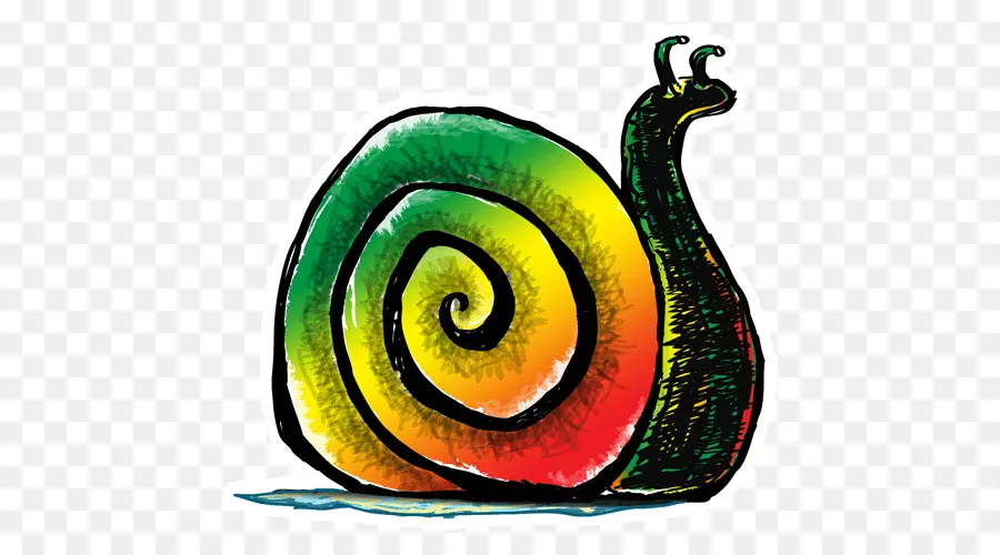 Caracol Colorido，Concha PNG