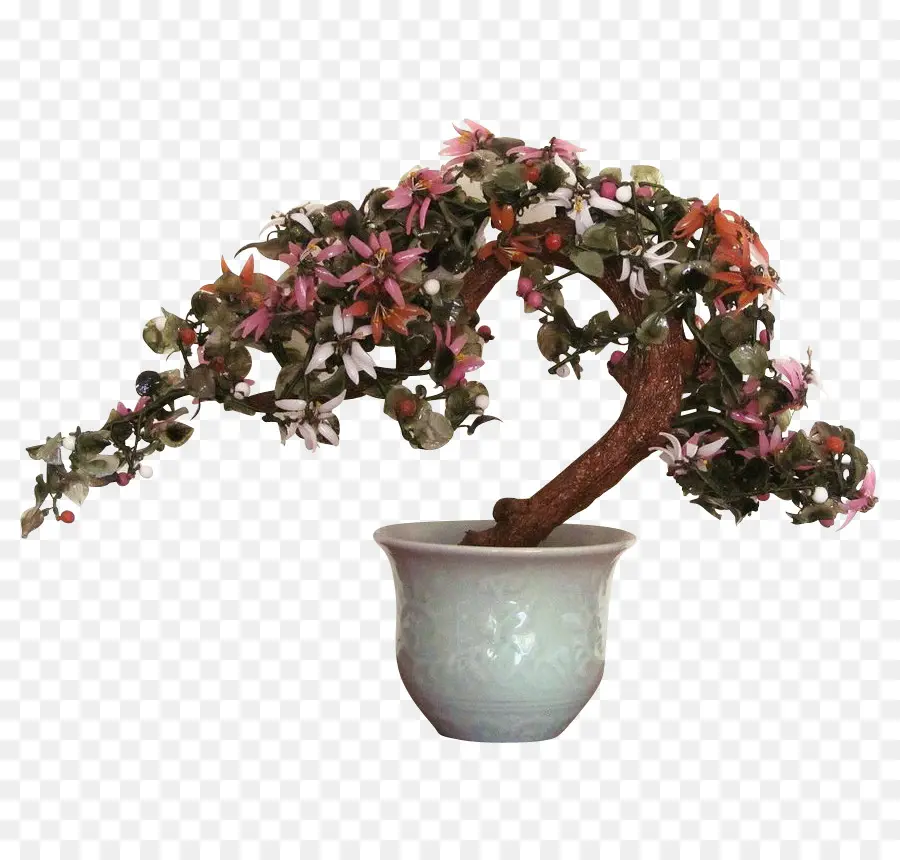 Bonsai，árvore PNG