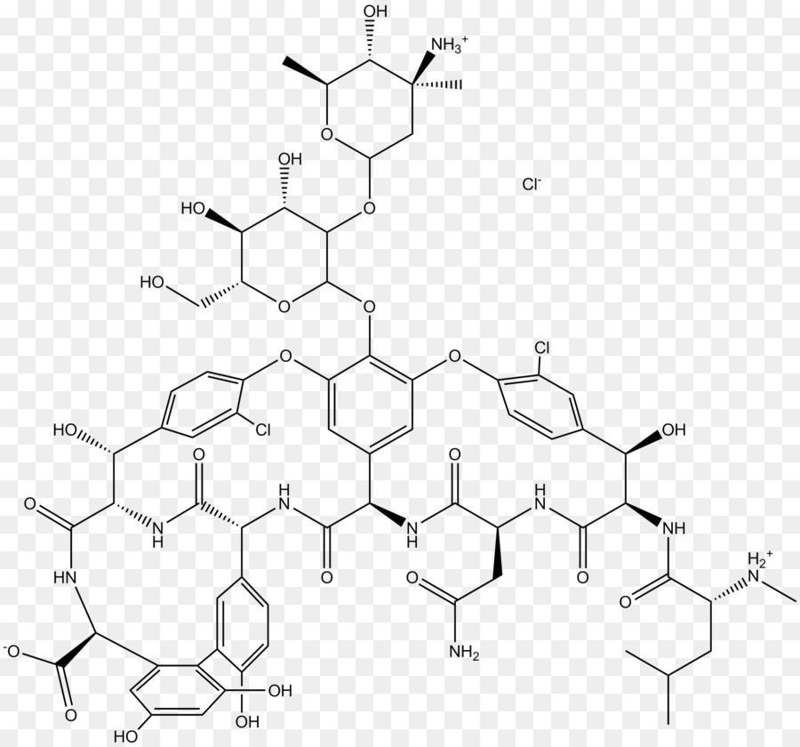 A Vancomicina，Erythroderma PNG