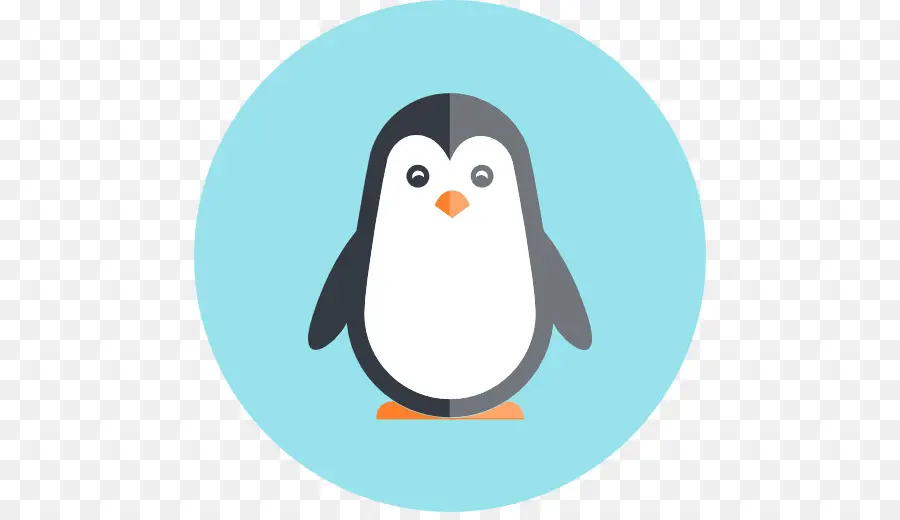 Pinguim，Pássaro PNG