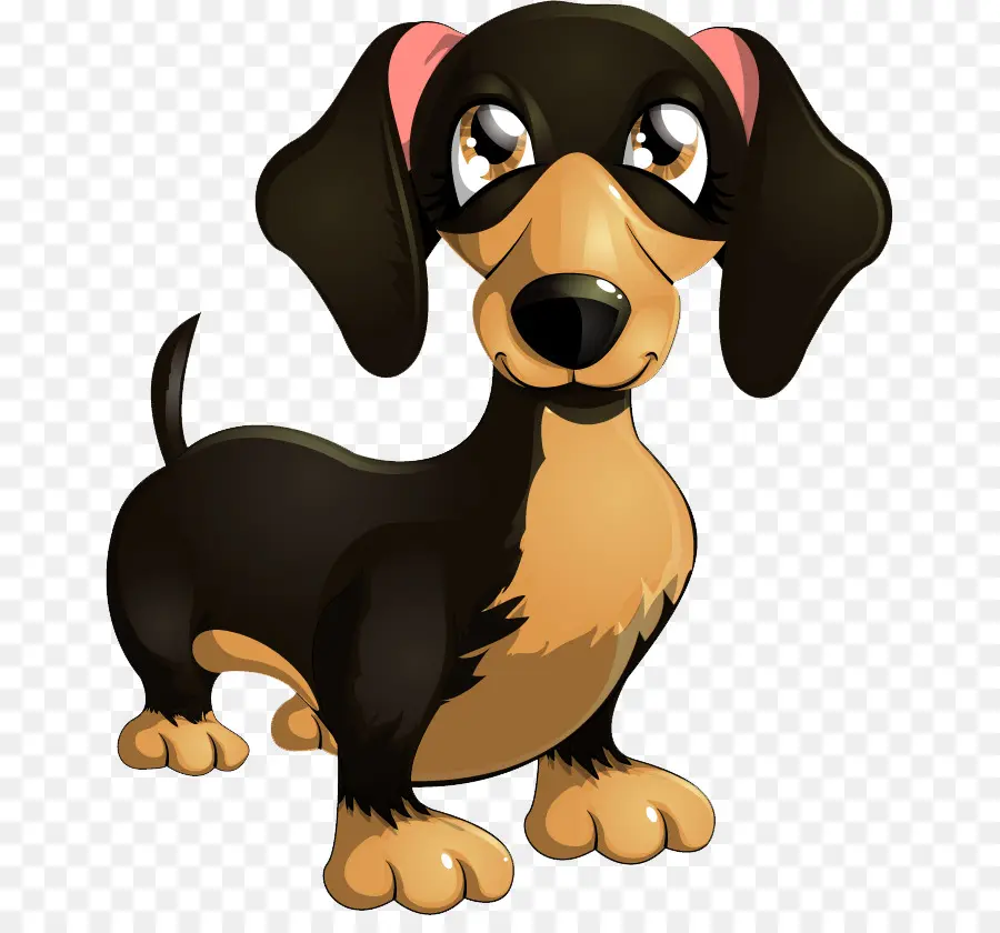 Dachshund，Filhote De Cachorro PNG