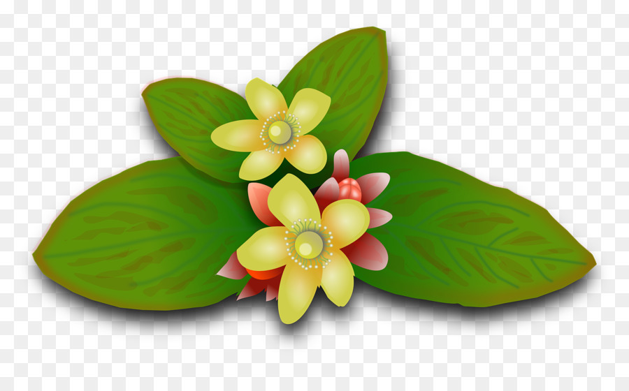 Perfurar São João Swort，Planta PNG