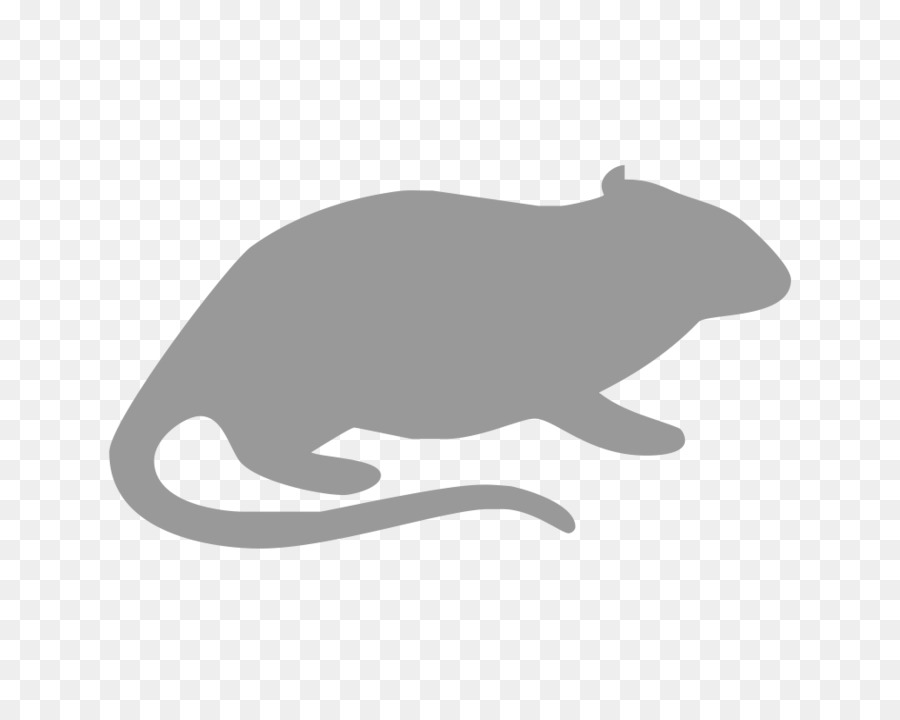 Rato Cinzento，Roedor PNG