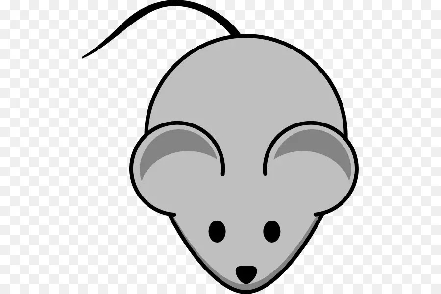 Rato，Roedor PNG