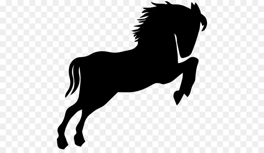 American Saddlebred，O Cavalo Selvagem PNG