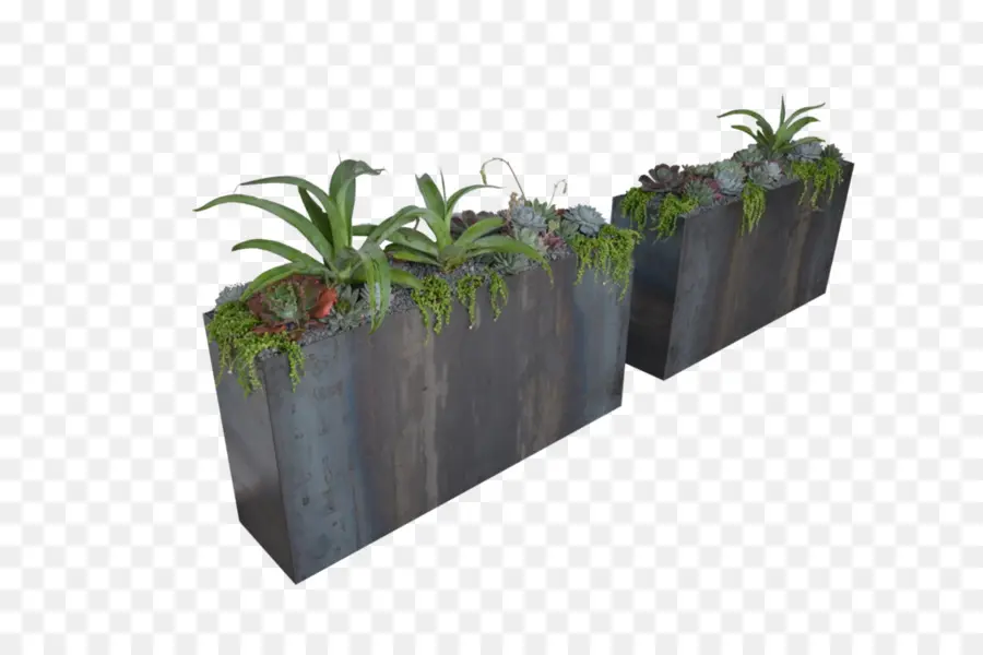 Plantadores，Plantas PNG