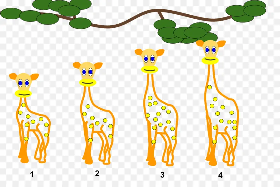 Girafas，Animais PNG