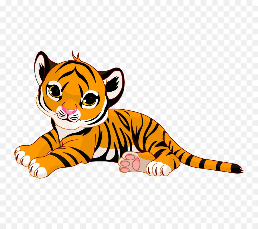 Tigre，Cartoon PNG