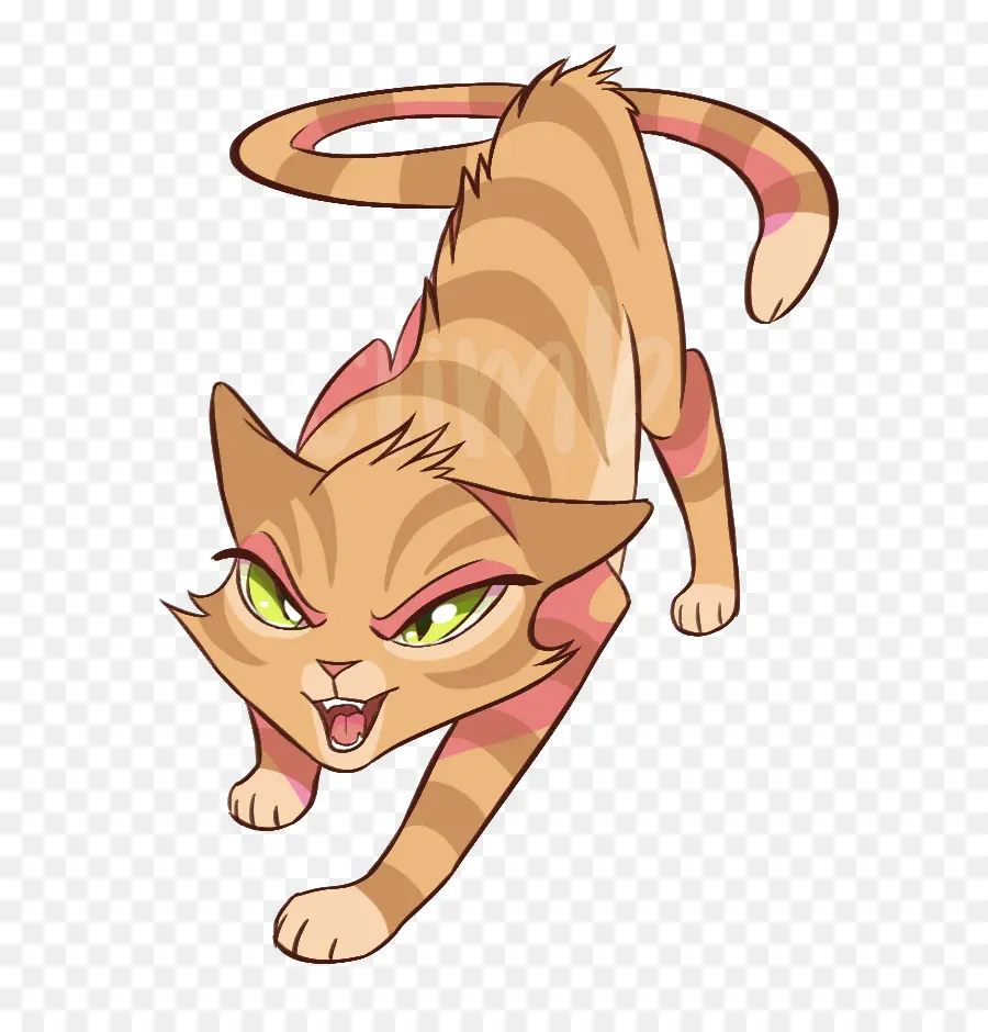 Gato Irritado，Felino PNG