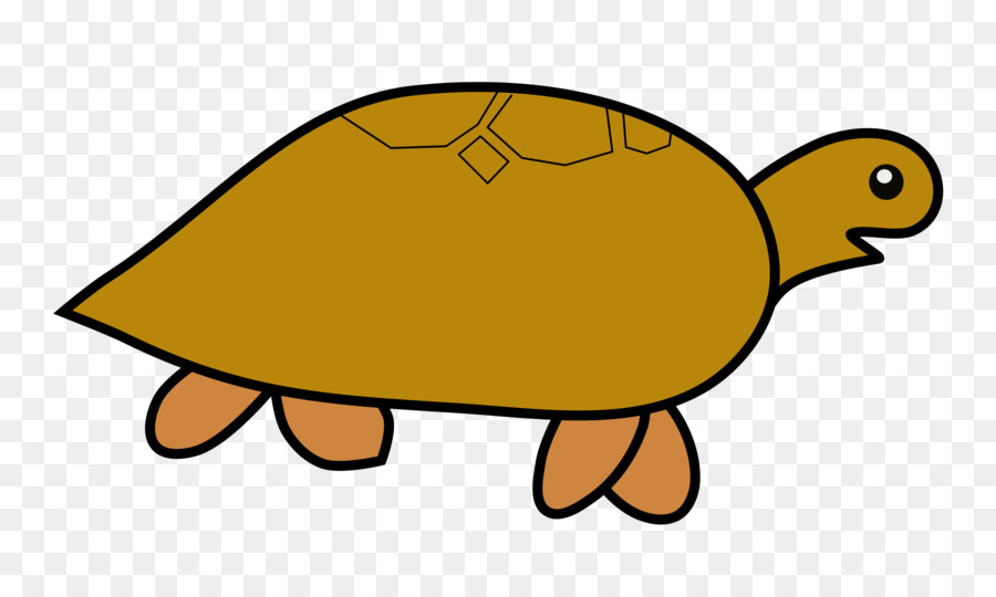 Tartaruga，Répteis PNG