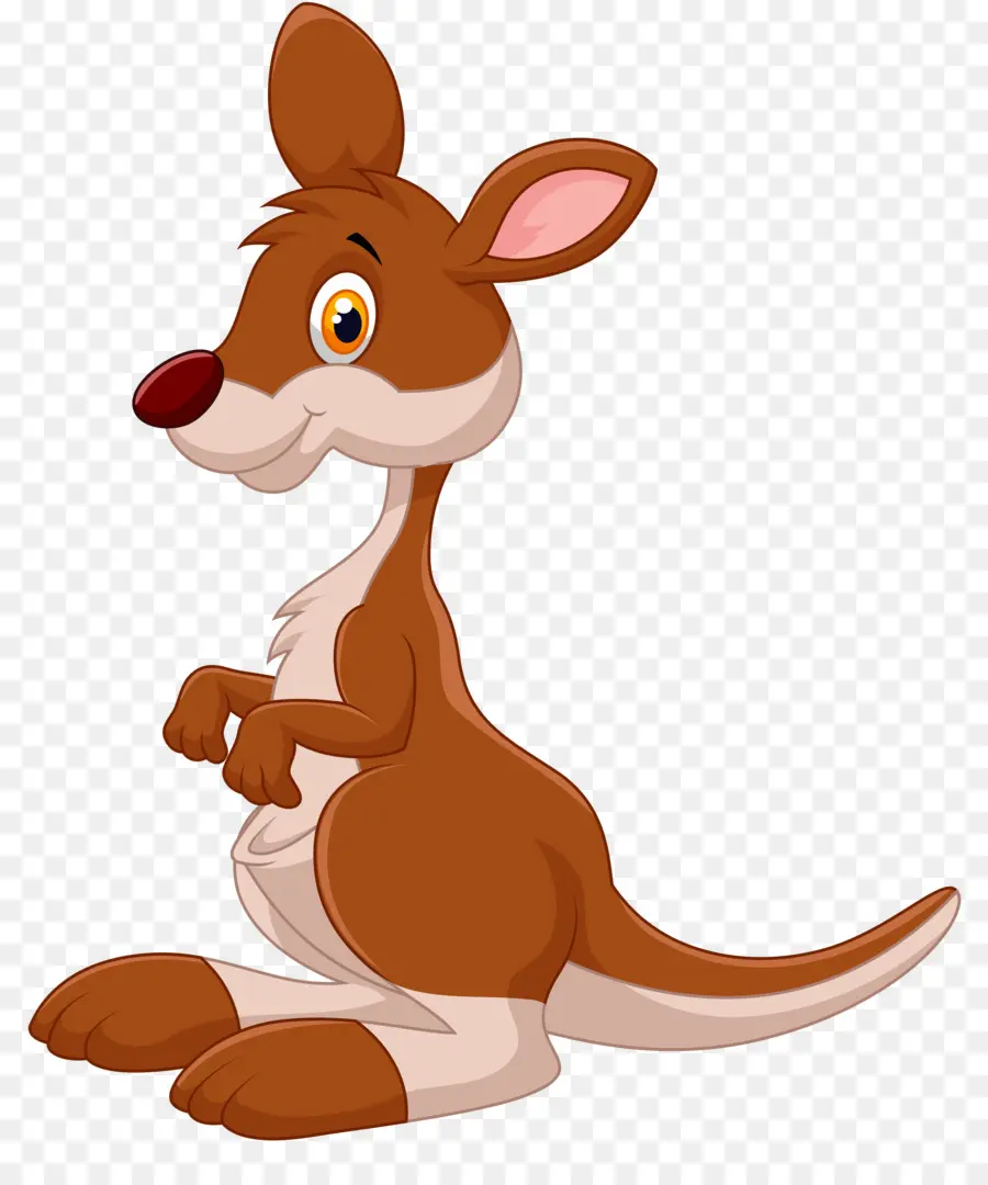 Koala，Austrália PNG