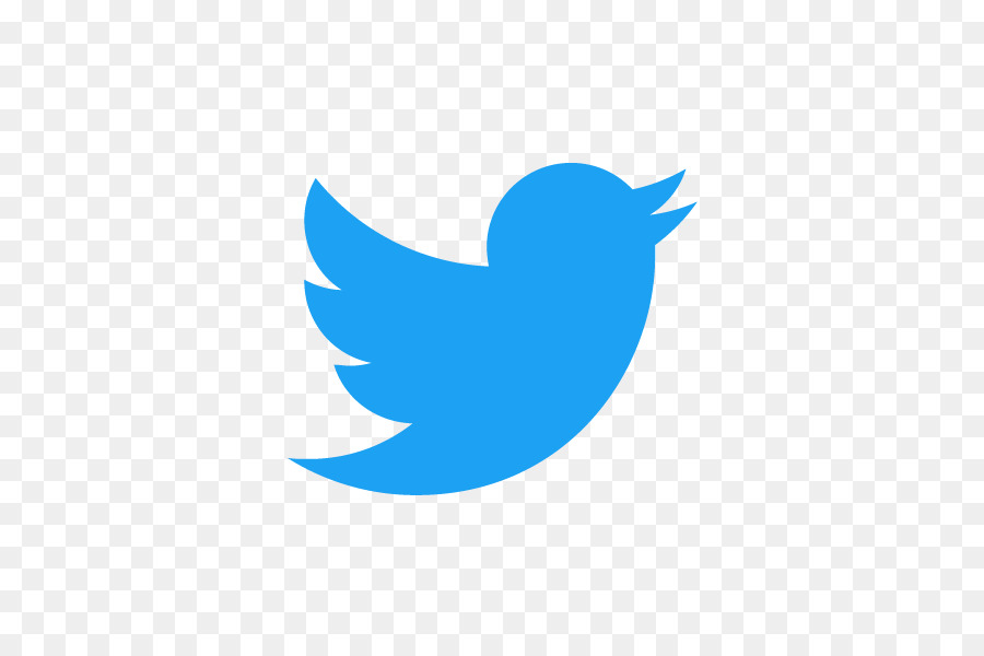 Logotipo Do Twitter，Pássaro PNG