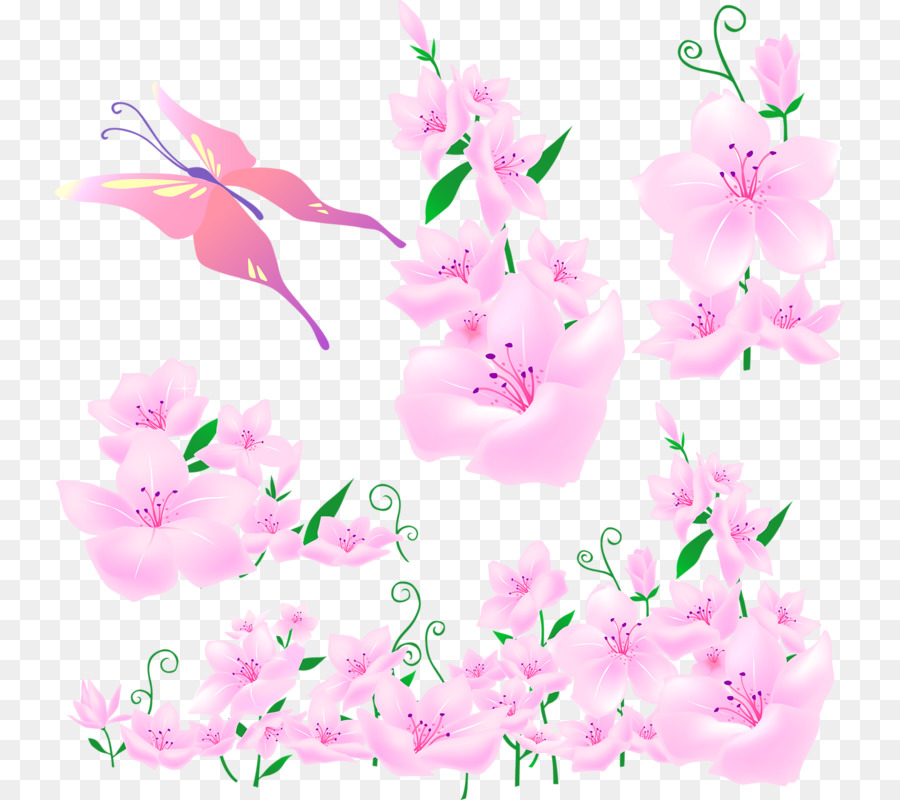 Download，Flor PNG