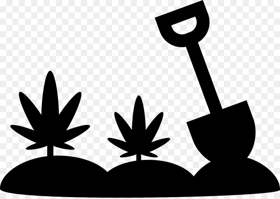 Cannabis，O Cultivo De Cannabis PNG