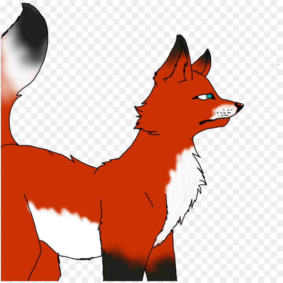 Raposa Vermelha，Fox PNG