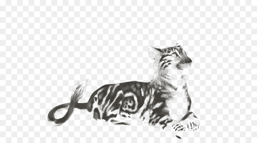 Felidae，Gato PNG