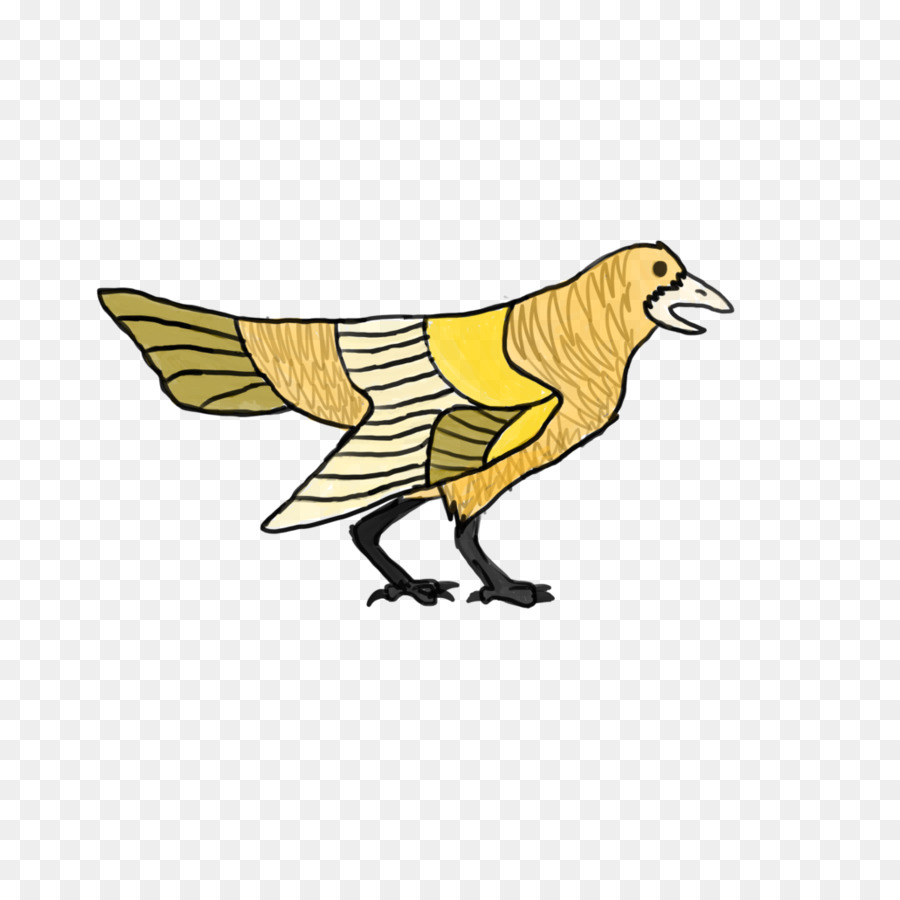 Aves，Frango PNG